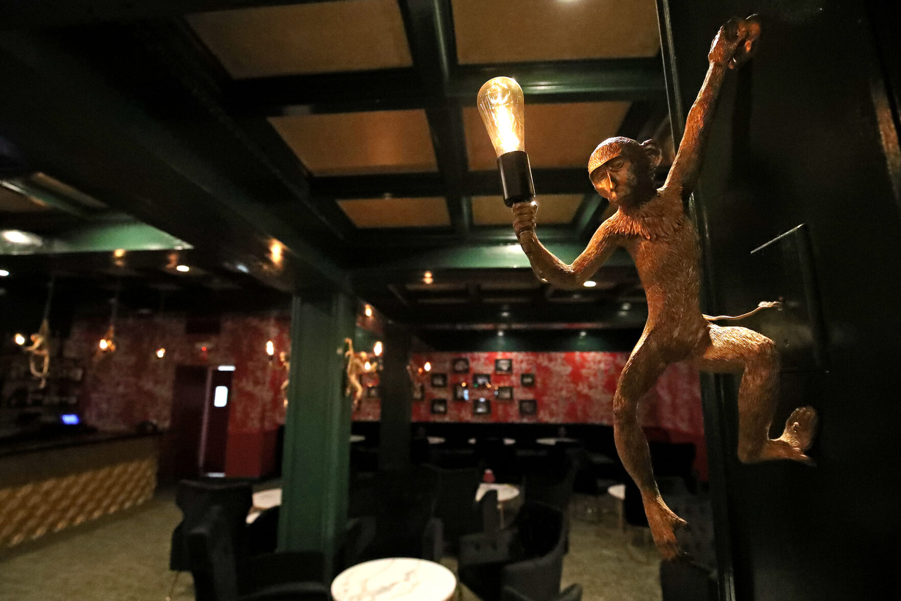 Dancing monkey iat the MB Supper Club
